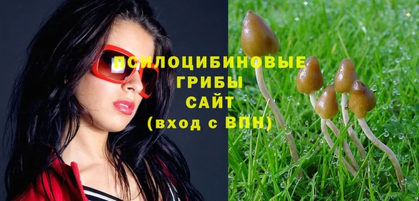 прущие крисы Зеленокумск