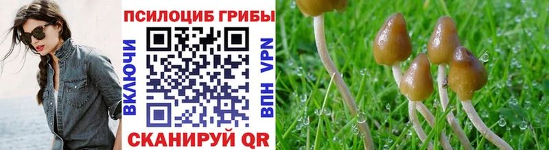 Купить где  Болхов  Псилоцибиновые грибы мухоморы 